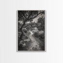 Forest Path, Twisting Trees, Nature Trail Scene, Framed Canvas Print, Earthy Wall Art, Boho Woodland Decor, Entryway or Hallway Accent