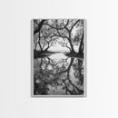 Misty Forest Trees, Reflection Photography, Nature Landscape, Canvas Print, Neutral Tones, Bedroom Wall Decor, Moody Autumn Forest Art