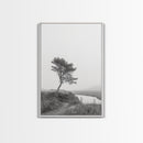 Leaning Tree Path, Soft Fog Scene, Calm Landscape, Canvas Print, Serene Entryway Wall Art, Nature Photography, Minimalist Decor