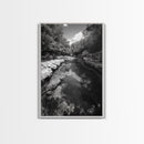 River Reflection, Nature Calm, Forest Stream, Canvas Print, Black and White Landscape Wall Art, Rustic Bathroom Decor, Tranquil Home Vibe