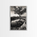 Tree Reflection, Still Water, Peaceful Nature, Framed Canvas Print, Tranquil Wall Art, Rustic Bedroom Decor, Black and White Photography