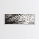 Macro Insect Wing, Abstract Nature Texture, Modern Neutral Wall Decor, Framed Canvas Print, Office Art, Monochrome Macro Photography