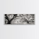 Sprawling Trees, Oak Forest, Sunlit Canopy, Majestic Branches, Canvas Print, Nature Wall Art, Boho Decor, Living Room Statement Piece