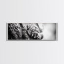 Tree Fungus, Natural Texture, Close-Up Growth, Wood Grain, Framed Canvas Print, Nature Wall Art, Boho Bedroom Decor, Botanical Print