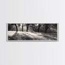 Sunrays Meadow, Tree Light, Golden Hour, Framed Canvas Print, Fall Living Room Art, Rustic Nature Decor, Warm Toned Landscape