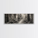 Redwood Forest, Nature Path, Fern Understory, Framed Canvas Print, Moody Nature Photography, Office Wall Art, Forest Bathing Vibes
