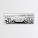 Sand Dollar, Ocean Shore, Calm Waters, Canvas Print, Coastal Wall Art, Minimalist Bathroom Decor, Seashell Beach Photography