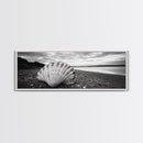 Shell on Shore, Monochrome Coastal, Canvas Print, Boho Wall Art, Bathroom Wall Decor, Natural Beach Aesthetic, Ocean Inspired Art