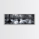 Swamp Roots, Cypress Trees, Flooded Forest, Framed Canvas Print, southern nature art, rustic lodge wall decor, moody woodland photography