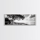 Coastal Tree, Wind Bent, Seaside Beauty, Nautical Serenity, Canvas Print, Nature Wall Art, Minimalist Decor, Coastal Living Room Art