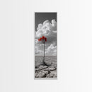 Red Bloom, Desert Flower, Solitary Beauty, Bold Nature, Framed Canvas Print, Dramatic Wall Art, Modern Bedroom Decor, Minimalist Botanical Art