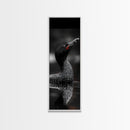 Loon Bird, Red Eye, Monochrome Wildlife, Nature Framed Canvas Print, modern living room wall art, black and white animal art