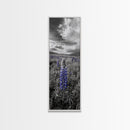 Blue Lupine, Wildflower Meadow, Cloudy Sky, Spring Bloom Framed Canvas Print, floral nature art, botanical hallway wall decor