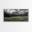 Mountain, Meadow, Wildflowers, Alpine meadow bloom and majestic peak on this Framed Canvas Print, serene Nature Wall Art for Entryway