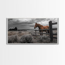 Rustic Horse, Country Fence, Western Scene, Moody Skies – Framed Canvas Print, Farmhouse Wall Art, Autumn Decor, Cabin Living, Cowboy Vibe