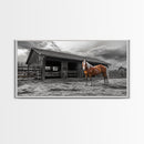 Rustic Horse, Country Barn, Moody Sky, Farm Vibes, Framed Canvas Print, Western Decor, Farmhouse Wall Art, Living Room Accent, Fall Art