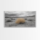 Desert Scene, Tumbleweed Beauty, Arid Landscape, Western Mood, Framed Canvas Print, Neutral Art, Entryway Wall Art, Rustic Home Style