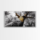 Golden Tree, Nature Upward, Woodland Strength, Forest Energy, Framed Canvas Print, Autumn Wall Art, Minimalist Tree Decor, Nature Print
