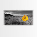 Yellow Flower, Desert Bloom, Monochrome Landscape, Canvas Print, Botanical Wall Art, Minimalist Nature Decor, Modern Kitchen Accent