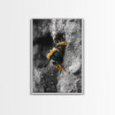 Fuzzy Bee Closeup, Insect Macro, Nature Texture, Framed Canvas Print, Wildlife Wall Art, Entomology Decor, Nature Photography