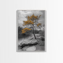 Golden Tree View, Nature Serenity, Fall Lake Art, Peaceful Pine, Framed Canvas Print, living room wall art, minimalist landscape print