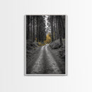 Forest Path, Yellow Trees, Autumn Trail, Framed Canvas Print, Fall Wall Art, Woodland Nature Decor, Cozy Home Accent, Entryway Artwork