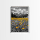 Yellow Wildflowers, Mountain Field, Blooming Meadow, Framed Canvas Print, Nature Photography, Rustic Decor, Dining Room Wall Art