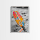 Colorful Oar Paddle, Beach House Decor, Boho Kayak Wall Art, Canvas Print, Vibrant Coastal Photography, Nautical Bathroom Art
