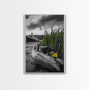 Wild Bloom, Yellow Flower, Driftwood and Grass, Moody Beach Scene, Framed Canvas Print, Autumn Wall Art, Nature Decor, Cozy Home Accent