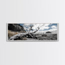 Driftwood, Coastal Tree, Beach Skeleton, Ocean Landscape, Framed Canvas Print, Coastal Decor, Neutral Tones, Office Wall Art