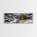 Colorful Fish Closeup, Underwater Art, Nature Photography, Canvas Print, Coastal Bathroom Decor, Vibrant Marine Life Wall Art