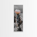 Cactus Bloom Desert Art Framed Canvas Print | Southwest Wall Art | Wildflower Painting | Botanical Prints | Boho Art | Nature Decor | Gift Idea