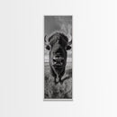 Majestic Bison Close-Up, Framed Canvas Print, rustic wall art, cowboy home décor, wildlife photography, farmhouse art, black and white photography