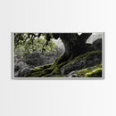Mossy Oak Tree, oak tree art, nature wall art, rustic art, botanical prints, green wall art, extra wide art, Framed Canvas Print