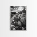 Cactus Trail, southwest wall art, rustic decor, desert painting, wabi sabi art, nature landscape art, framed canvas print, farmhouse decor