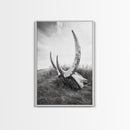 Large horns, rustic skull, bull and bear art, moody wall art, desert decor, cowboy aesthetic, framed canvas print, minimalist art