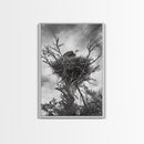 Bald Eagle, bird art, nature photography, moody art, rustic decor, patriotic wall art, black and white, framed canvas print, wildlife art