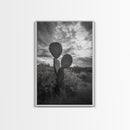 Prickly Pear, cactus art, Joshua tree art, wabi sabi art, moody art, black and white, framed canvas print, minimalist decor, rustic wall art