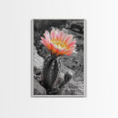 Blooming cactus, botanical print, desert flora, framed canvas print, nature decor, succulent wall art, pink flowers, southwest painting