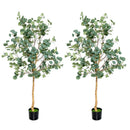 5.5 Feet Artificial Eucalyptus Tree with 517 Silver Dollar Leaves
