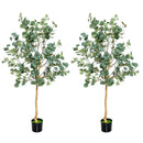 5.5 Feet Artificial Eucalyptus Tree with 517 Silver Dollar Leaves by LJGDeals