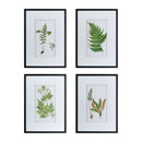 Botanical And Fern Wall Art, Wall Decor For Living Room Dining Room Entryway (Set of 4) - White / Black by HouseOfZazla