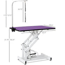 Hydraulic Pet Grooming Table by HouseOfZazla