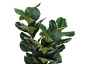 32" Tall, Artificial Plant, Fiddle Tree, Indoor, Faux, Fake, Floor, Greenery, Potted, Real Touch, Decorative - Green / Black by Unique Piece Furniture