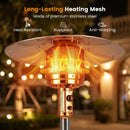 50 000 BTU Patio Propane Gas Heater with Stainless Steel Burner by LJGDeals