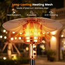 50 000 BTU Patio Propane Gas Heater with Stainless Steel Burner by LJGDeals