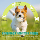 Dog Balls for Automatic Launcher 2.3" ETPU 6-Pack