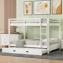 Sturdy Bunk Bed With Ladder by HouseOfZazla