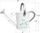 Metal Watering Can for Outdoor and Indoor Plants, Watering Can Decor, 1 Gallon (Leo) by GreenHaven Gardens