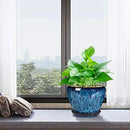 Ceramic Modern Glaze Succulent Planter Pot with Drainage Hole and Saucer 6 Inch Round Flower Plant Pot for Indoor Outdoor Herb Snake Plants by GreenHaven Gardens